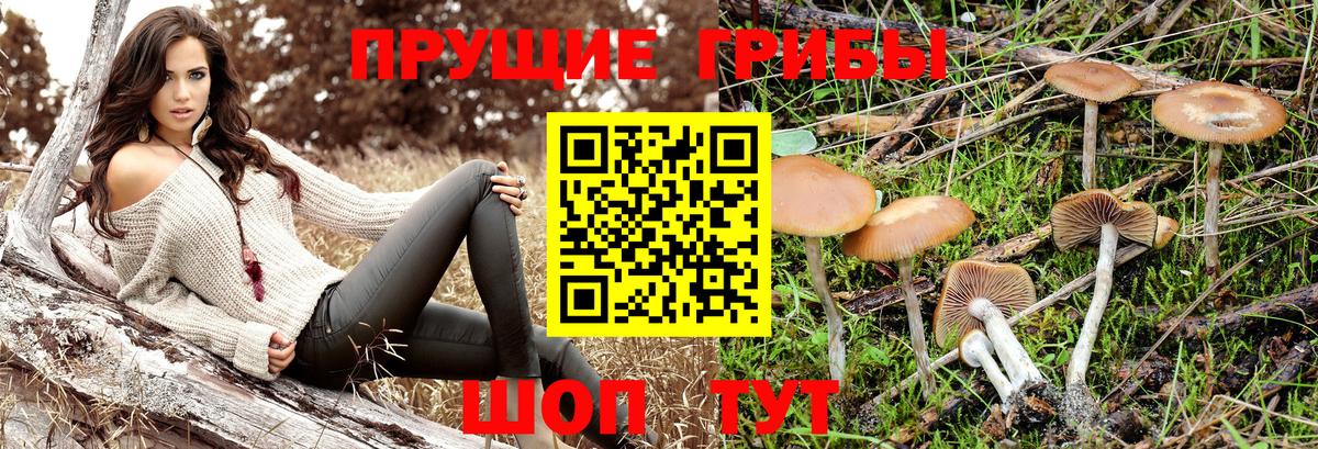 Чехов  Галлюциногенные грибы мицелий  Вход с VPN 