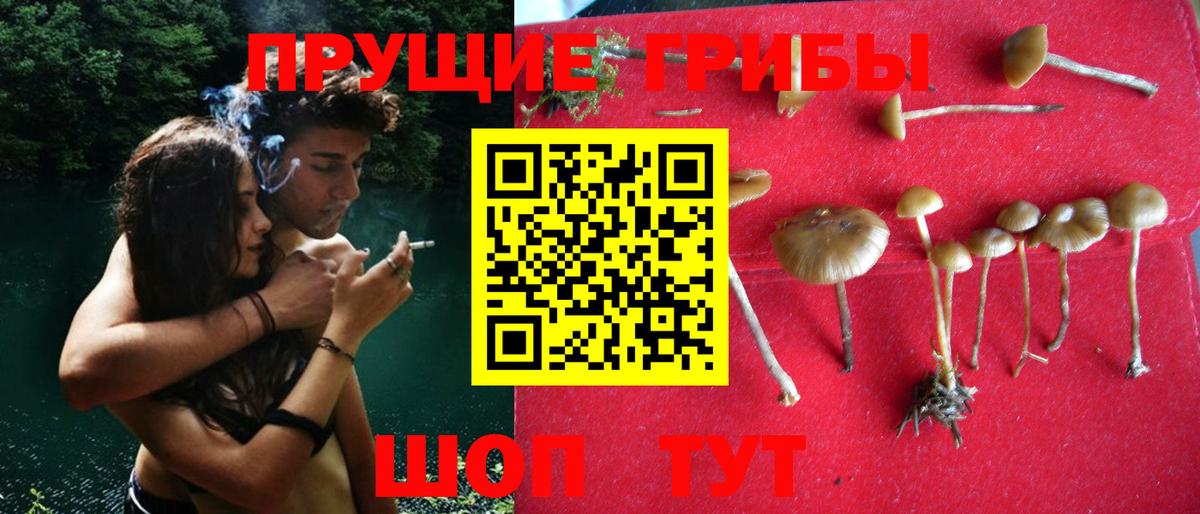Псилоцибиновые грибы GOLDEN TEACHER Чехов