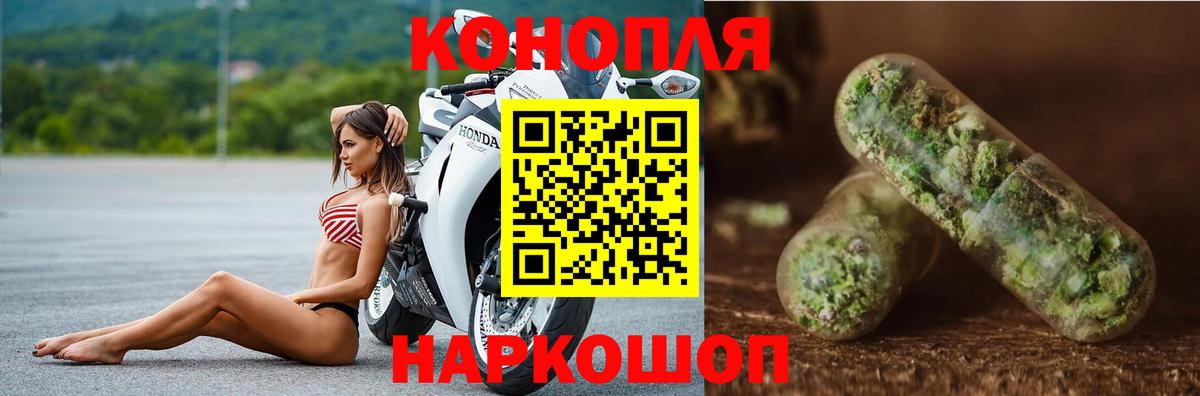 Канабис OG Kush Чехов